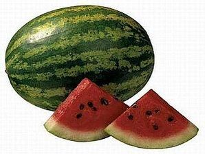 Watermelon Dieta pisua galtzeko