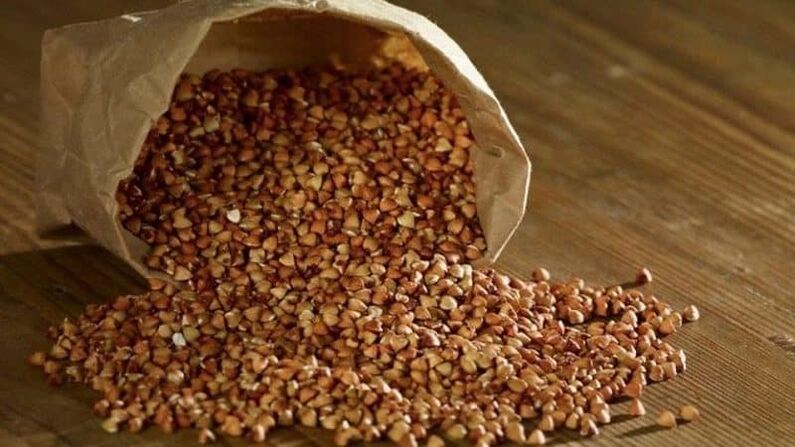 buckwheat pisua galtzeko