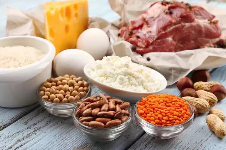 proteina dietarako produktuak
